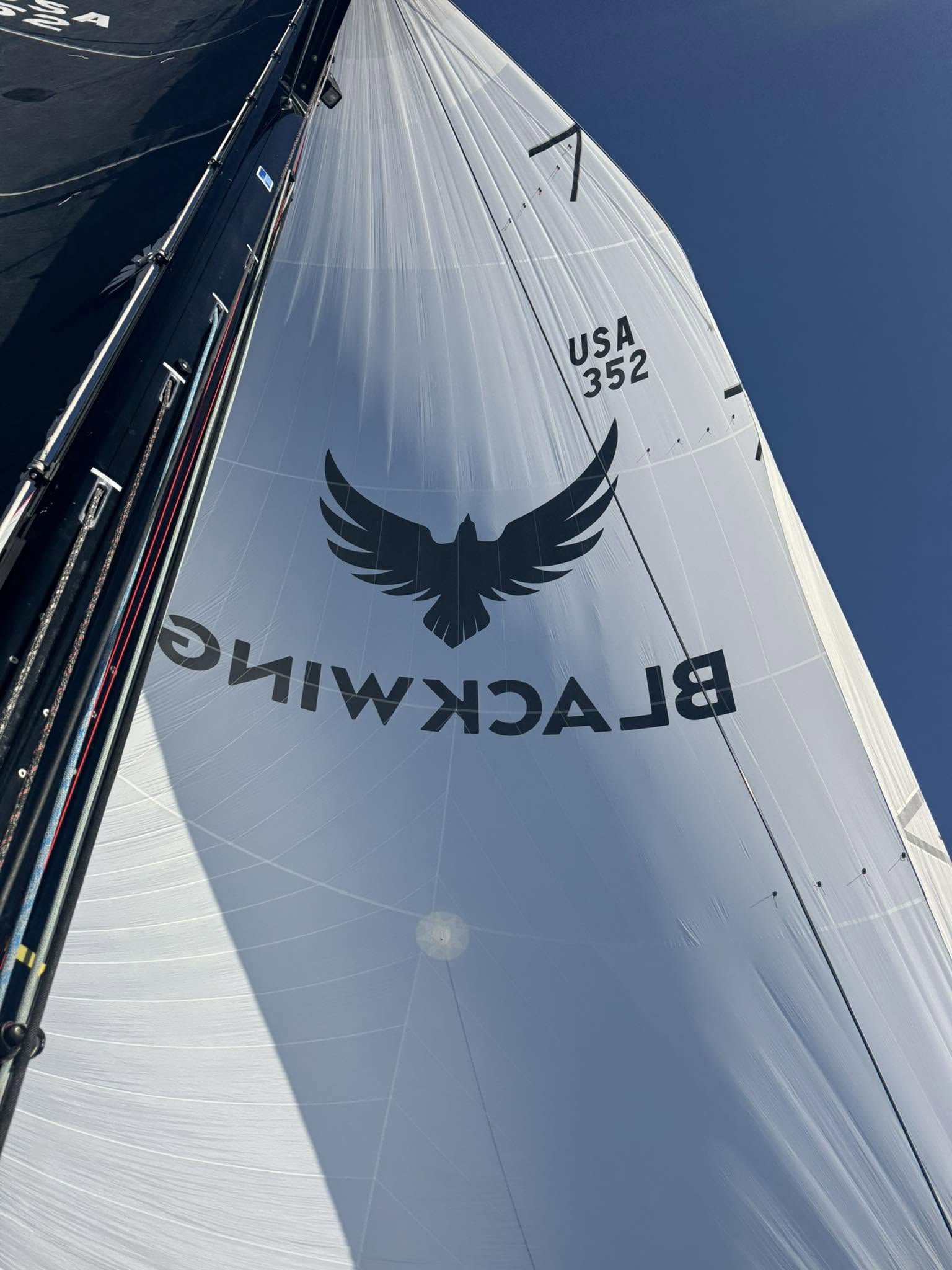 The Blackwing eagle mark on the spinnaker against deep blue sky — a cinematic yacht for film and photo shoots