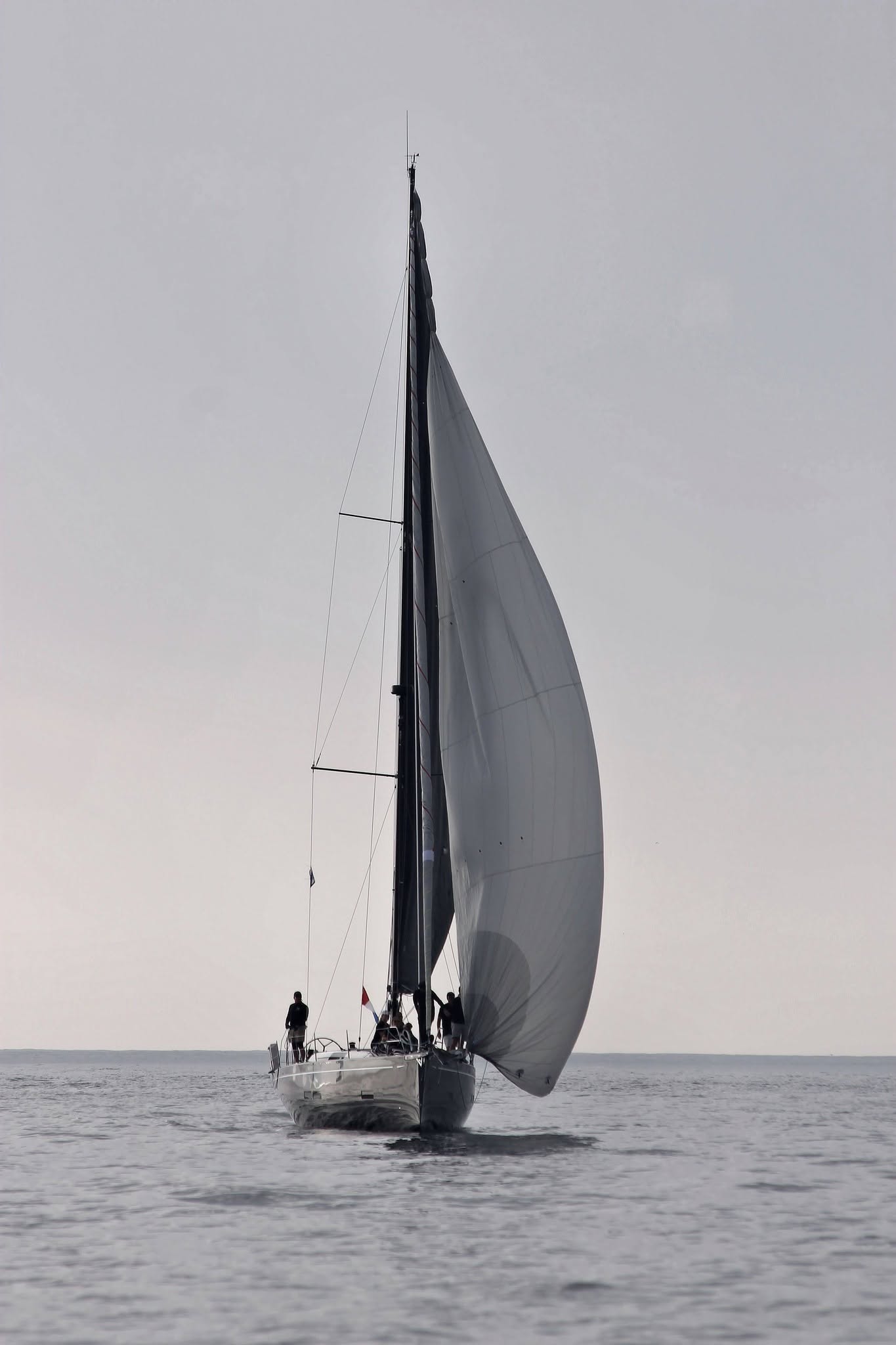 Blackwing sailing the open Pacific off Dana Point on a private whale watching charter