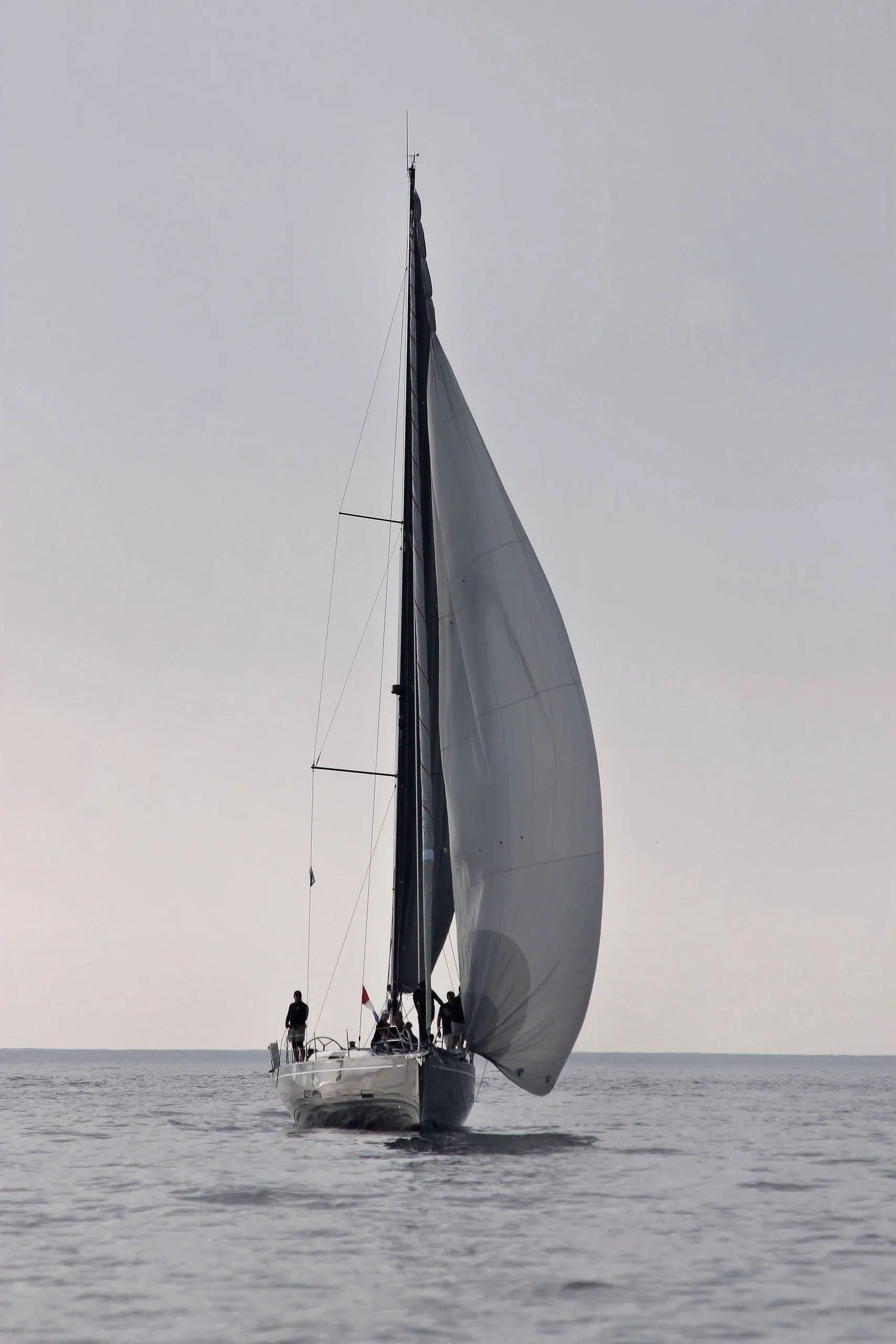 Blackwing under sail, a photogenic profile for editorial and commercial work